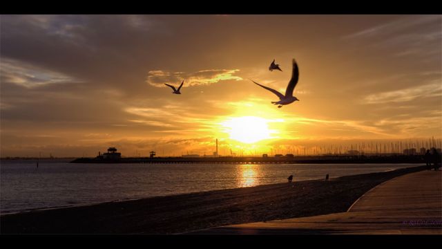 En fotos: cuando el Sol se oculta - BBC News Mundo