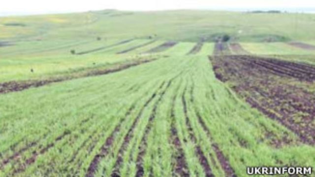 Експерти: ще до початку продажу українська земля вже має власників