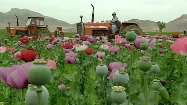 سونامی اعتیاد در افغانستان Bbc News فارسی