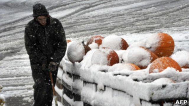 南瓜覆蓋著白雪