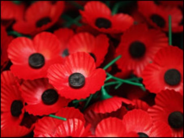 佩戴罂粟花背后的故事 c 英伦网