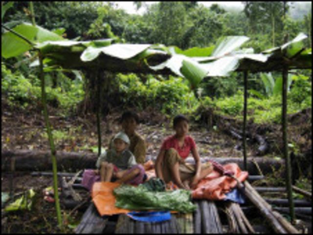 နားခိုစရာအတွက် ယာယီတဲတွေ ဖြစ်သလို ဆောက်ပြီး ဒုက္ခသည်တွေ နေနေကြရ