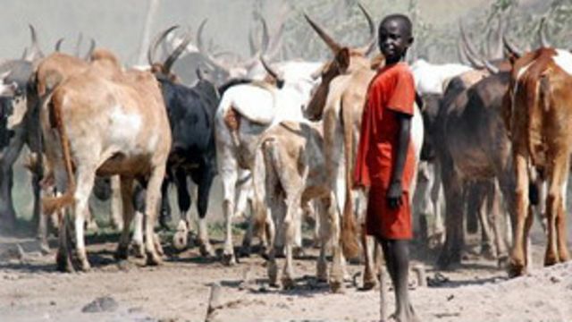 Wani makiyayi a Sudan ta Kudu