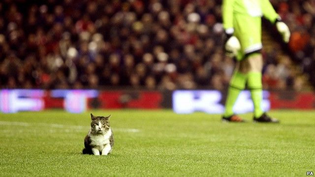 bbc news russkaya sluzhba