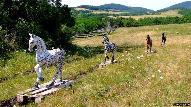 zebra stripes что такое. Смотреть фото zebra stripes что такое. Смотреть картинку zebra stripes что такое. Картинка про zebra stripes что такое. Фото zebra stripes что такое