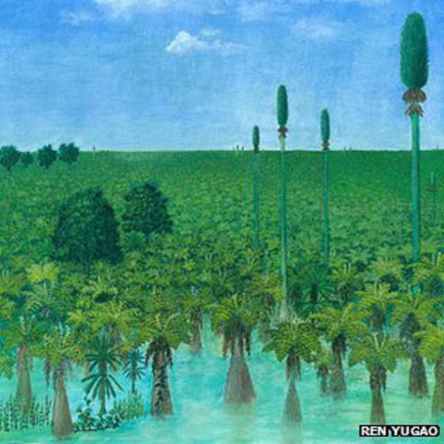 Hutan rawa-rawa purba terawetkan setelah terkubur abu selama sekitar 300 juta tahun silam.