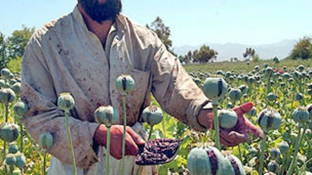 معتادان افغان در سال گذشته به ارزش ۳۰۰ میلیون دلار مواد مخدر خریده اند Bbc News فارسی