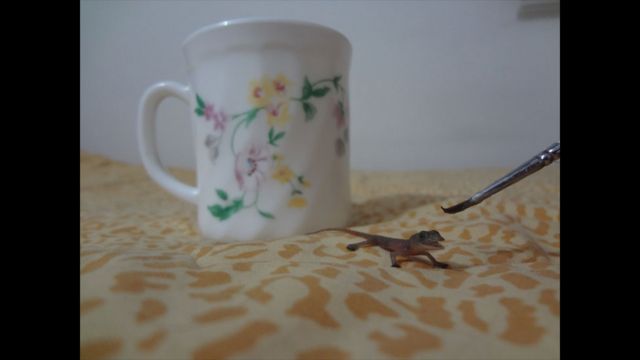 Foto de un lector por el tema "Café"