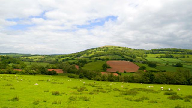 countryside