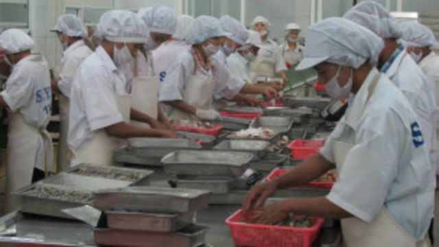 မြန်မာနိုင်ငံက ရေထွက်ပစ္စည်း ထုတ်လုပ်ရေး စက်ရုံ
