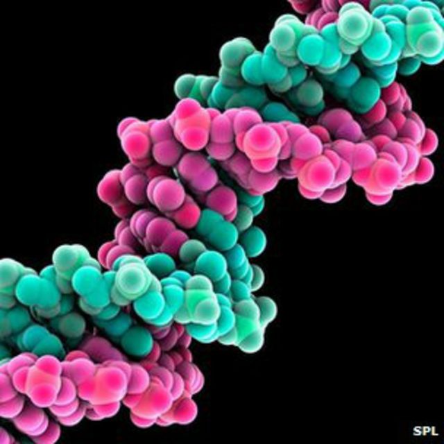 molécula de ADN