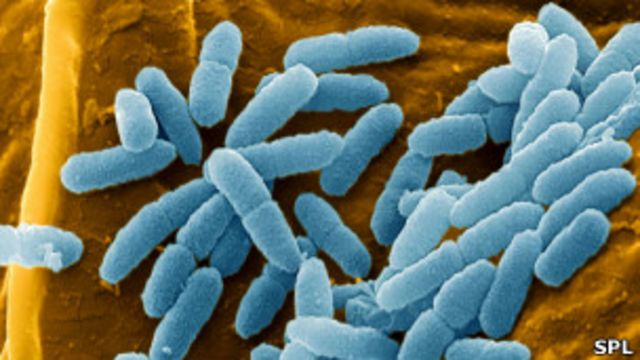 Bakteri Resisten Antibiotik Menjadi Ancaman Global Kesehatan Modern