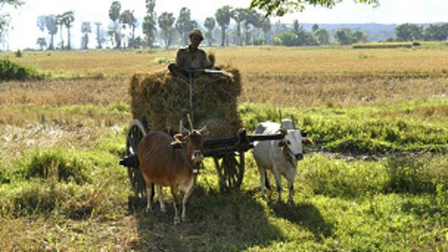 လယ်စိုက်သူတွေ လယ်ပြန်လိုချင်နေ