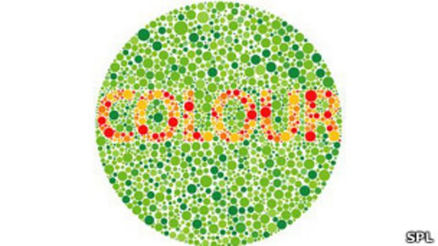Evolucionar fama Quemar Inventan anteojos para "curar el daltonismo" - BBC News Mundo
