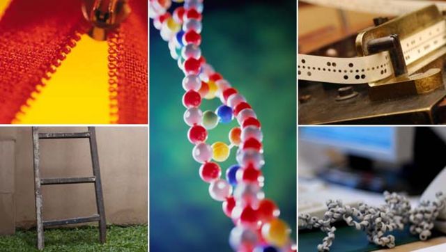 Cuatro razones que hacen al ADN una molécula tan inteligente - BBC News  Mundo