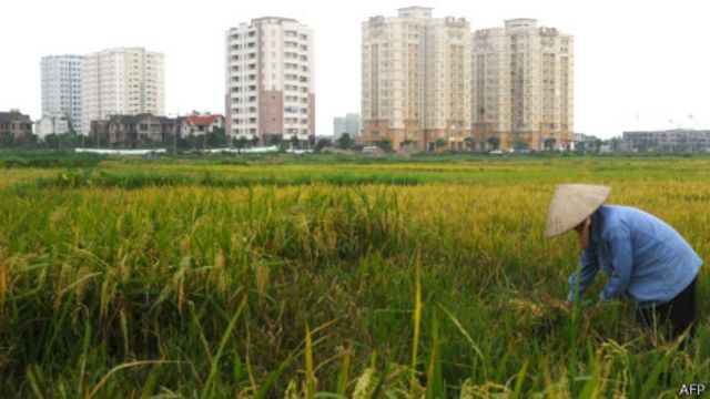 Nông thôn Việt Nam