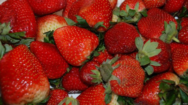 میوه های تازه افغانستان Bbc News فارسی