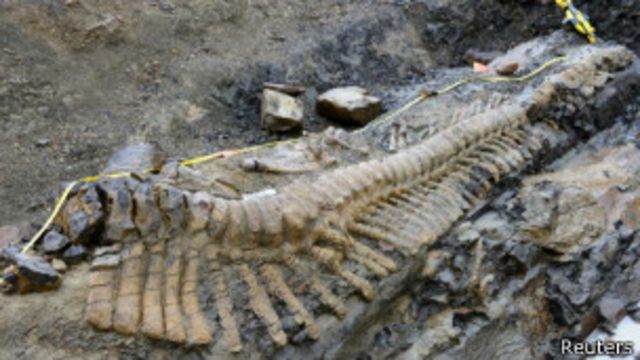 Hallan en México gigantesca cola de dinosaurio - BBC News Mundo
