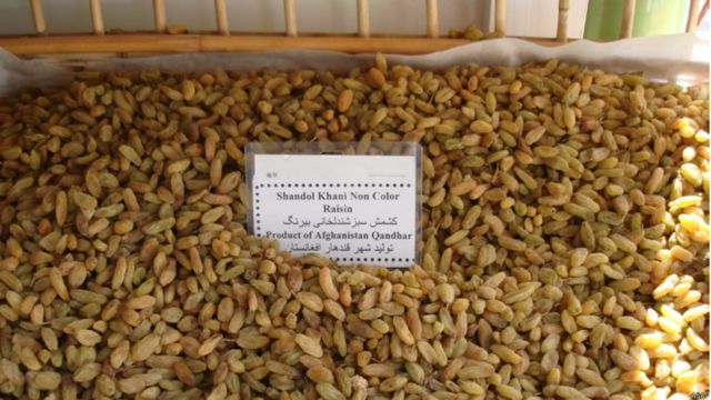 میوه خشک نقطه اتکای صادرات افغانستان Bbc News فارسی