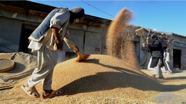 جوزجان افغانستان ولایتی پر نعمت اما فقیر Bbc News فارسی