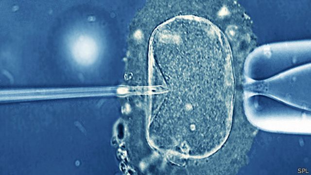 Costa Rica El Pais Que Niega La Fertilizacion In Vitro Bbc News Mundo