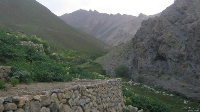 شکارگاه شاهان مناطق حفاظت شده افغانستان Bbc News فارسی