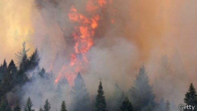 加州森林大火