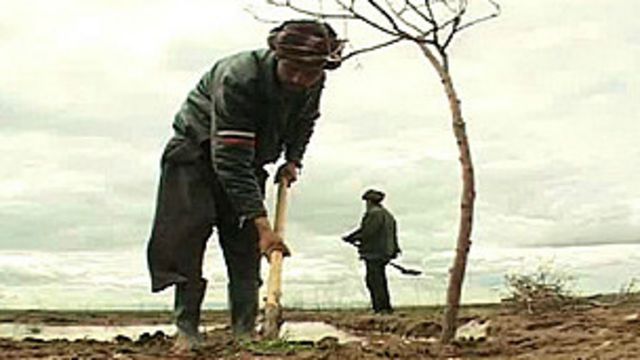 زراعت موتور محرکه اقتصاد و عامل تامین مایحتاج افغانستان Bbc News فارسی