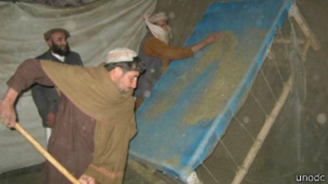 کاهش کشت و افزایش تولید حشیش در افغانستان Bbc News فارسی
