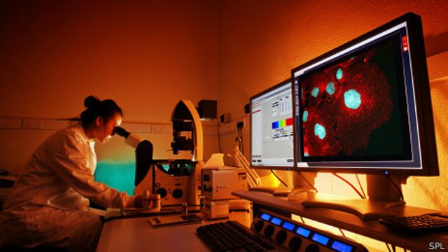 Investigadora de cáncer