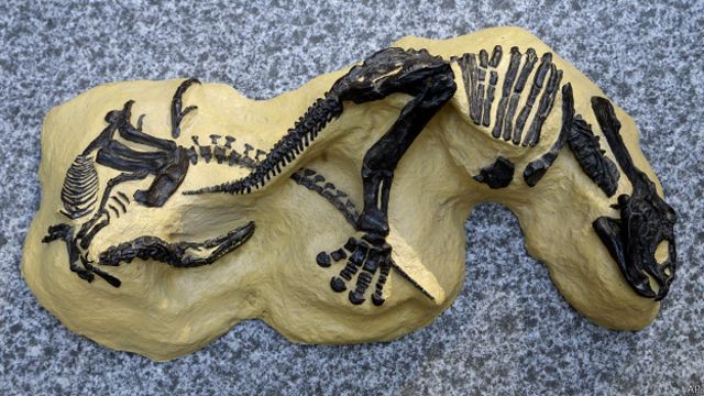 Un duelo fosilizado de dinosaurios al mejor postor - BBC News Mundo
