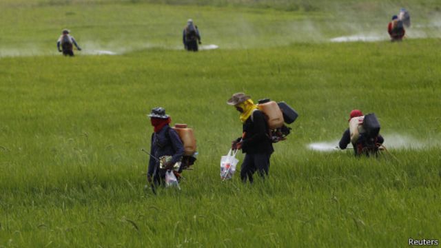 Разбрызгивание пестицидов