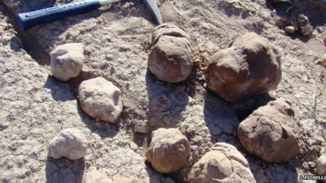 какое научное слово обозначает окаменелые экскременты динозавров. Смотреть фото какое научное слово обозначает окаменелые экскременты динозавров. Смотреть картинку какое научное слово обозначает окаменелые экскременты динозавров. Картинка про какое научное слово обозначает окаменелые экскременты динозавров. Фото какое научное слово обозначает окаменелые экскременты динозавров какое научное слово обозначает окаменелые экскременты динозавров. Смотреть фото какое научное слово обозначает окаменелые экскременты динозавров. Смотреть картинку какое научное слово обозначает окаменелые экскременты динозавров. Картинка про какое научное слово обозначает окаменелые экскременты динозавров. Фото какое научное слово обозначает окаменелые экскременты динозавров