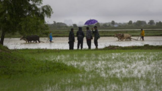 လယ်အသိမ်းခံရတဲ့ လယ်သမားတွေ ဘဝ