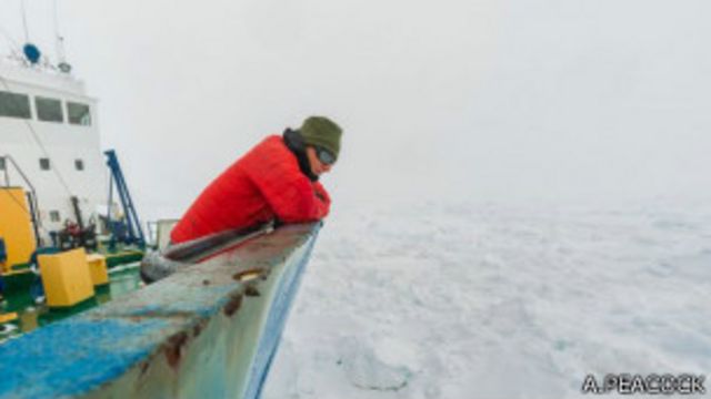 俄羅斯南極考察船「邵哈斯基號」在南極被困冰海（25/12/2013）