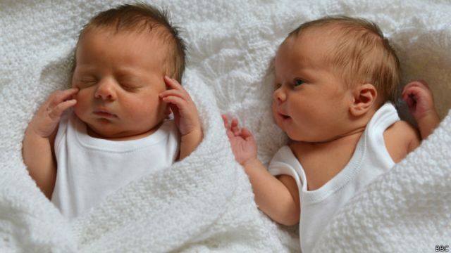 Bebés