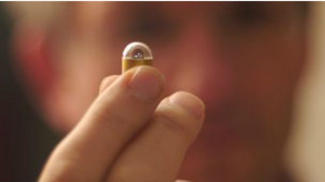 مذيع بي بي سي يبتلع الديدان في محاولة لاكتشاف تأثير الطفليات على جسم الإنسان Bbc News عربي