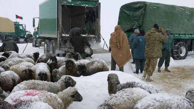 در ولایت شمالی قندوز افغانستان چند چوپان با حدود چهار هزار گوسفند در برف گیر افتادند. پلیس گفته که آنها را نجات داده است. عکس از دفتر سخنگوی پلیس قندوز.