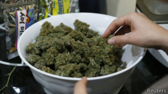 легализация марихуаны в колорадо