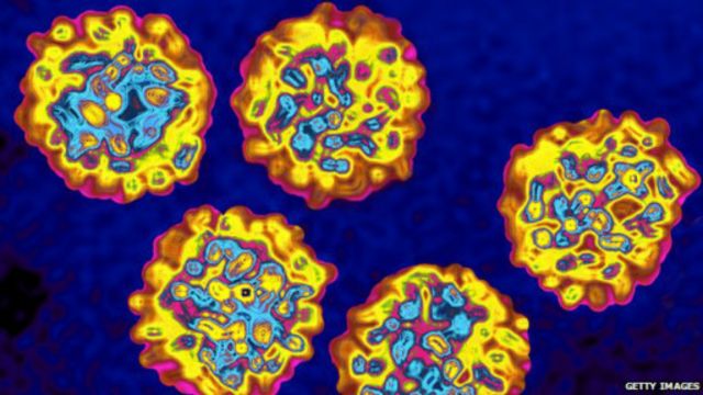 تحقیق کے مطابق یہ وائرس مشرقی ایشیا میں زیادہ نظر آیا ہے