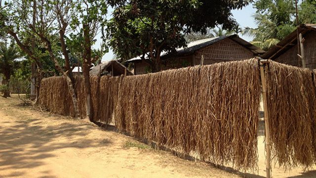 Desa di Assam