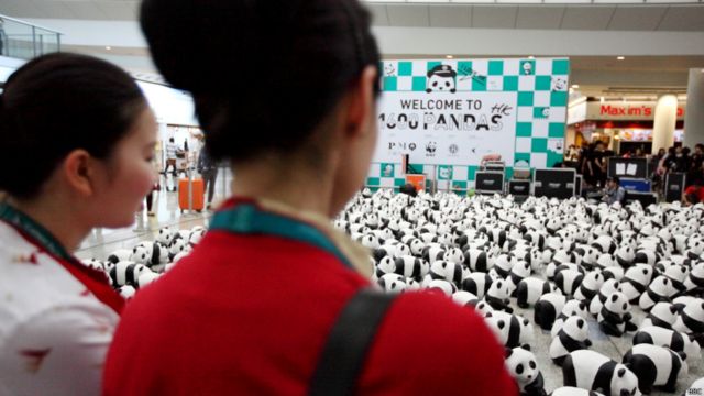 1600紙熊貓快閃香港宣傳保育(BBC中文網照片,09/06/2014)