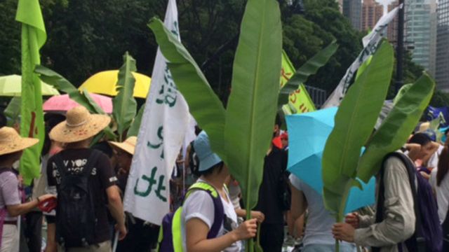 來自香港新界東北的居民，反對港府撥款開發東北的計劃，呼籲保衛綠色家園 。