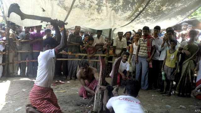 মন্দিরে চলছে পশুবলি