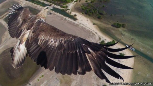 capungaero drone
