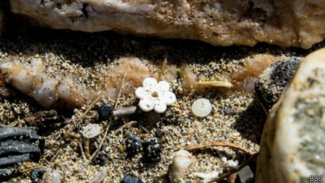 Las Playas A Las Que Llegan Millones De Lego Naufragados Bbc News Mundo