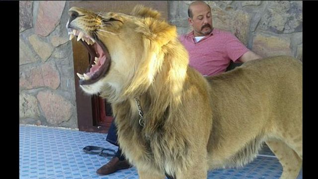 پسر عموی رئیس جمهوری افغانستان در قندهار ترور شد Bbc News فارسی