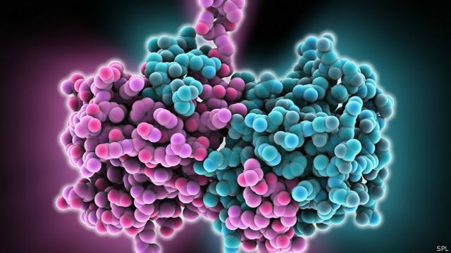 Virus del ébola