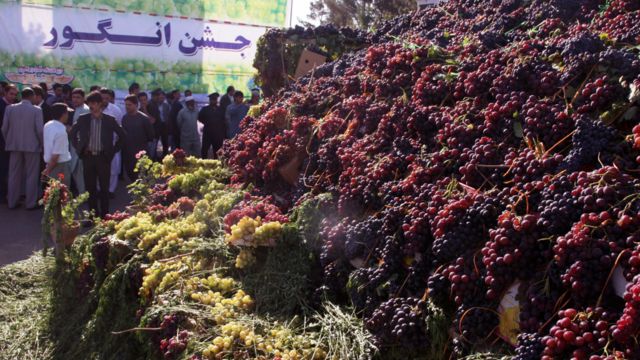 نمایشگاه انگور در هرات Bbc News فارسی