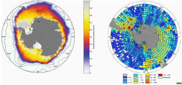 Antarctic species map